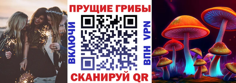 Купить закладки  Палласовка  Псилоцибиновые грибы GOLDEN TEACHER 